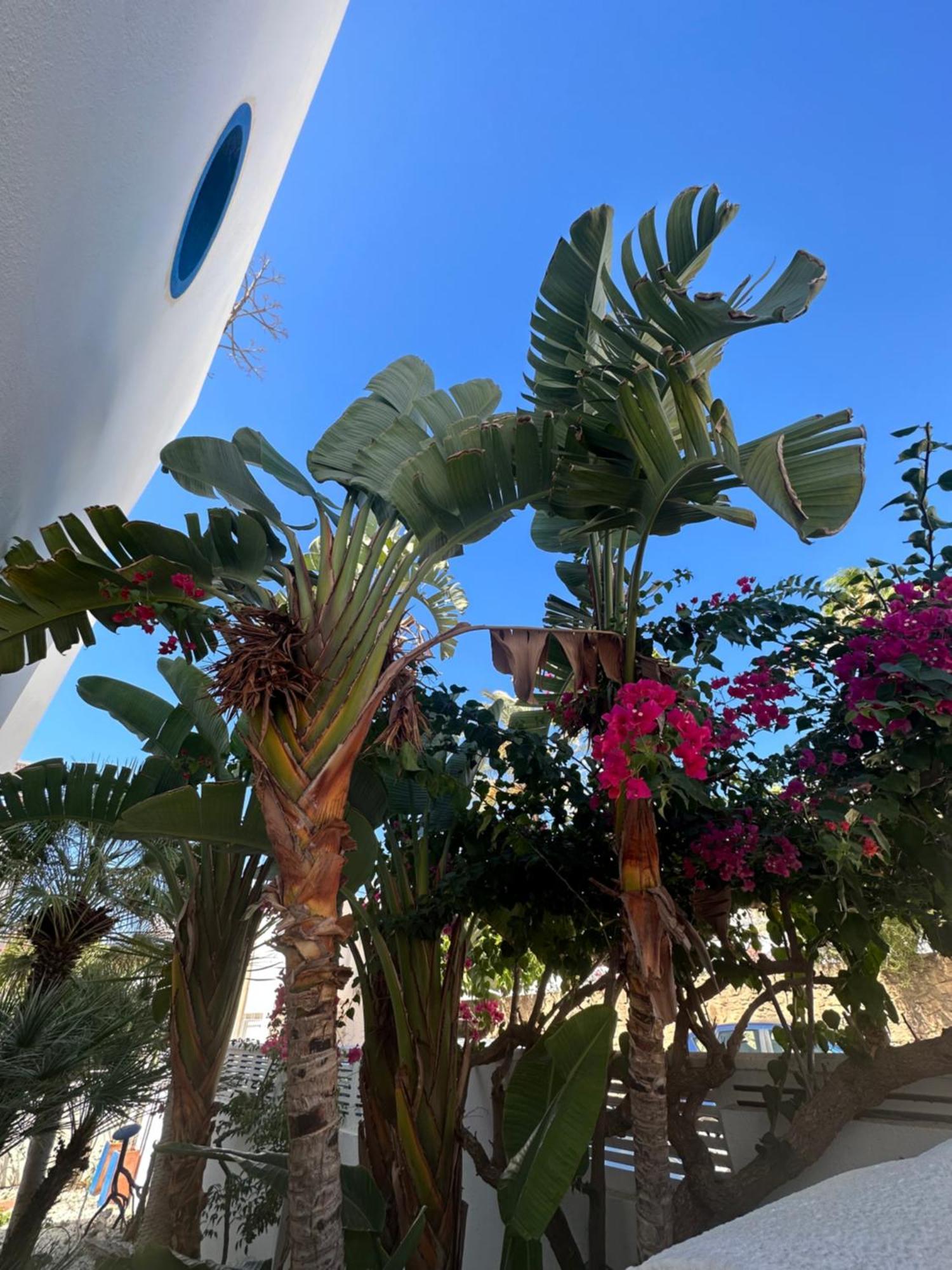Arto Blanco Apartment Agua Amarga  Exterior photo
