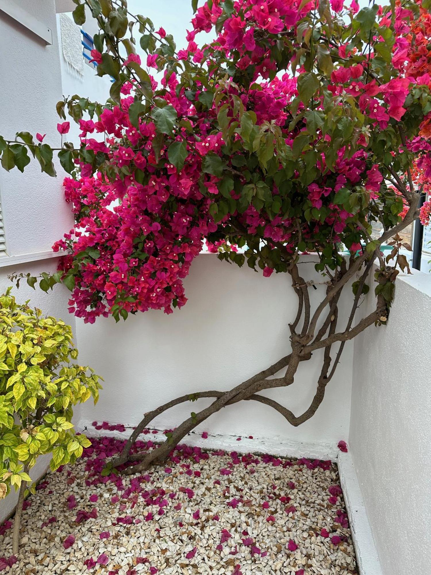 Arto Blanco Apartment Agua Amarga  Exterior photo